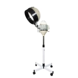 Hair Steamer and Face Steamer 2 in 1 with stand